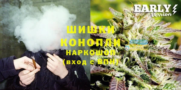 твердый Вяземский