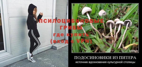 дмт Волосово
