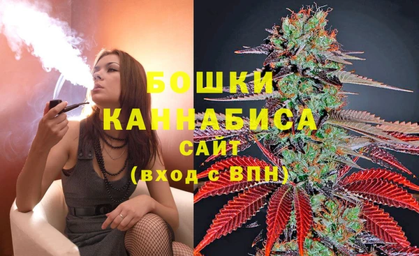 твердый Вяземский